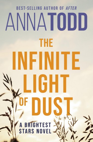 The infinite light of dust by Anna Todd