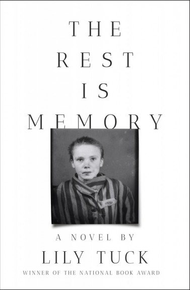 The rest is memory by Lily Tuck